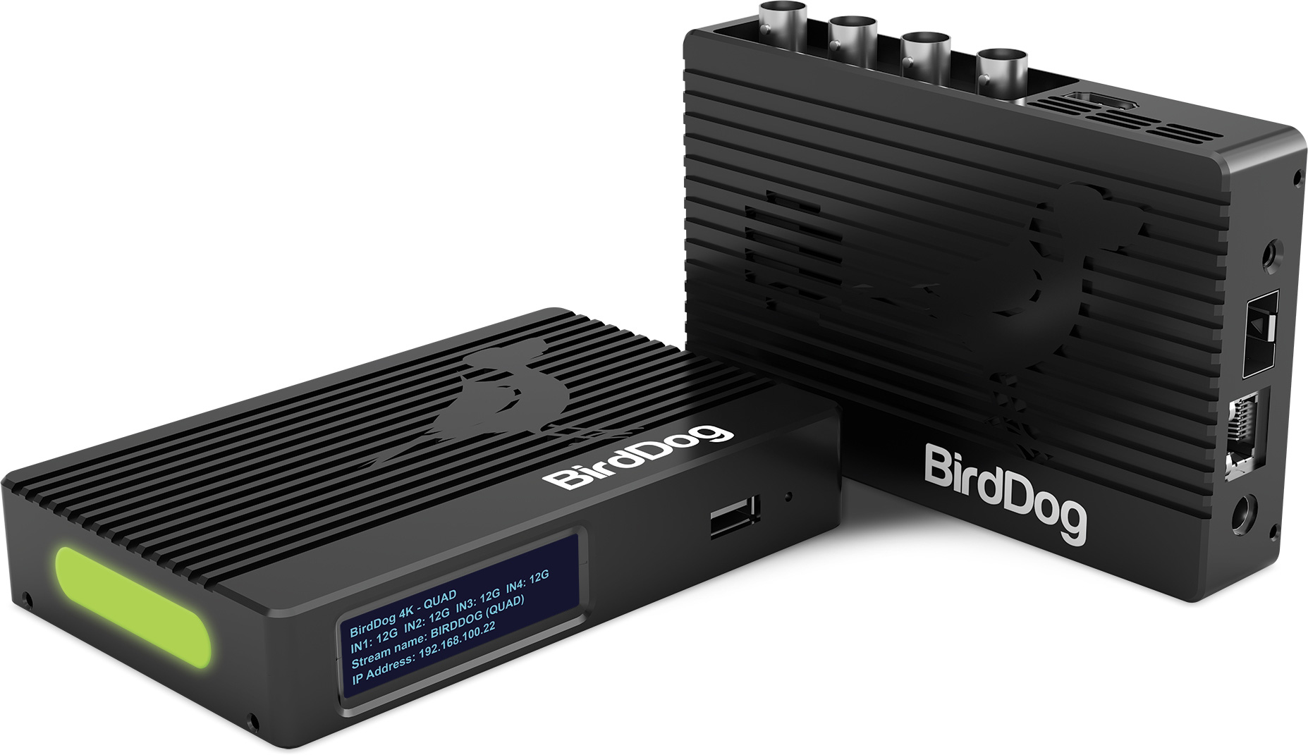 NDI: haciendo que el video IP sea una realidad con BirdDog